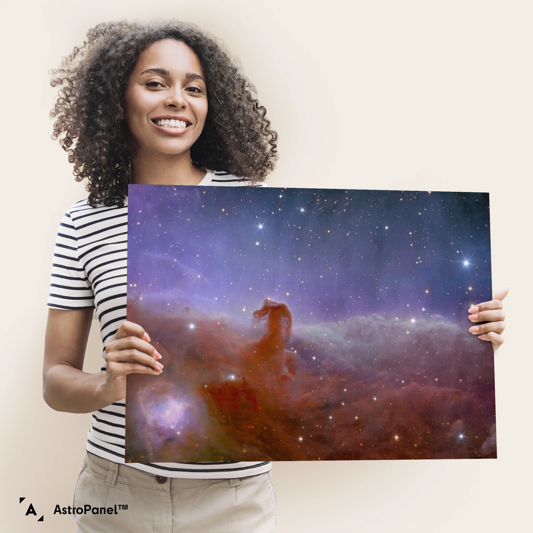 Euclid Telescope: Horsehead Nebula Poster