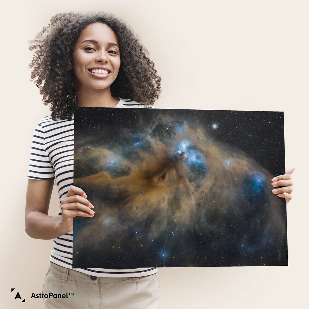 Marzena Rogozińska: The Anteater Nebula (NGC 6726)