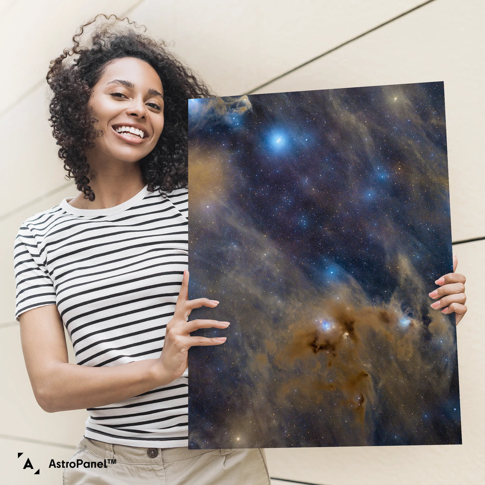 Chris Willocks: The Chamaeleon I Molecular Cloud Poster