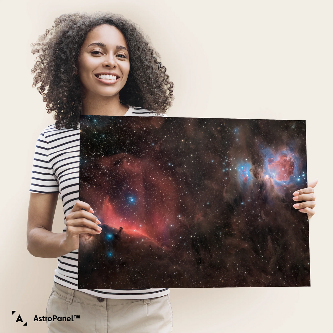 Stefan Lenz: The Horsehead & Orion Nebula Poster