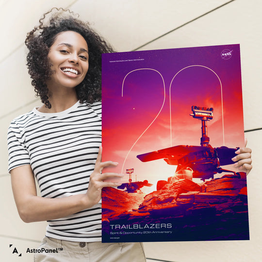 NASA Poster: Spirit & Opportunity (20th Anniversary)