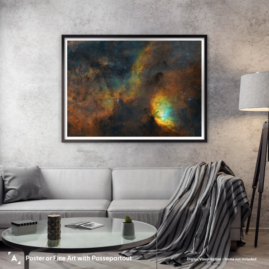 Paweł Radomski: Flower of the Milky Way Rift