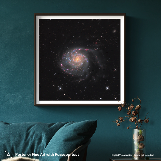 Paweł Radomski: Cartwheel of Distant Suns