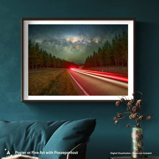 Damir Makšan: Uriarra Pines Car Trails