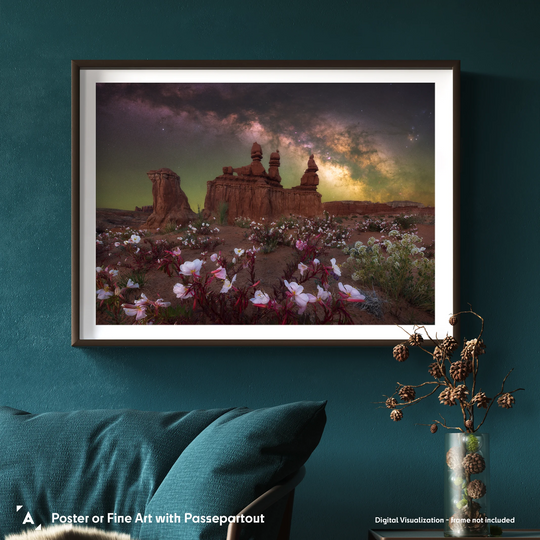 Marcin Zajac: Desert Bloom in Utah Poster