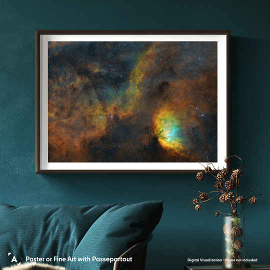 Paweł Radomski: Flower of the Milky Way Rift