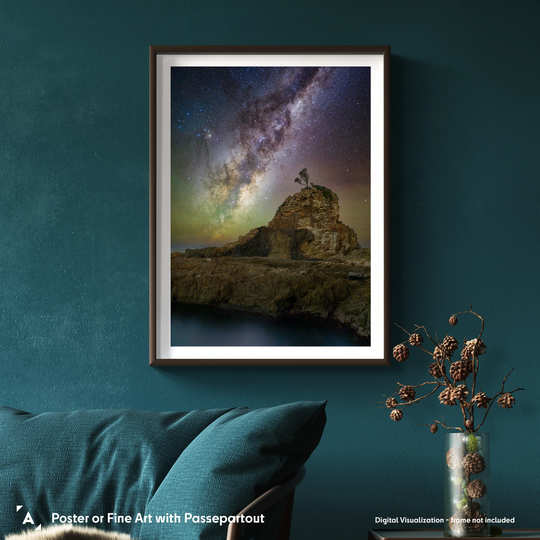 Damir Makšan: One Tree Rock