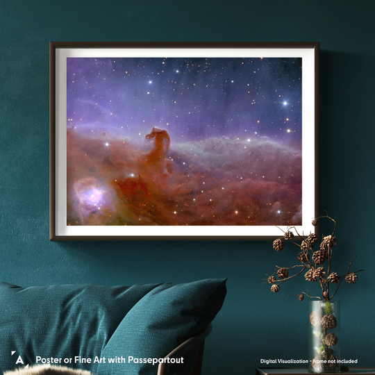 Euclid Telescope: Horsehead Nebula Poster