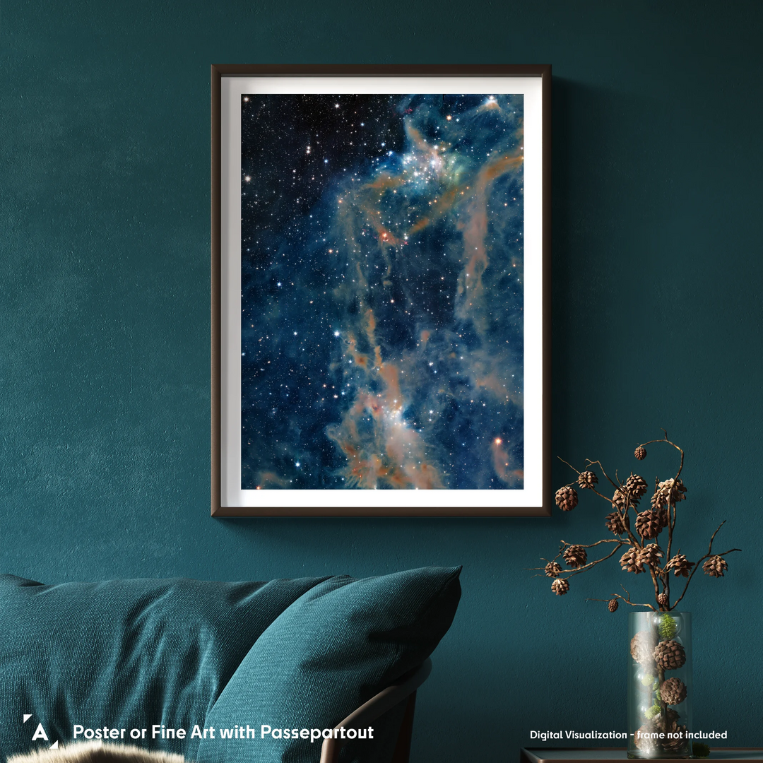 Euclid Telescope: Dark Cloud’s Dusty Veil