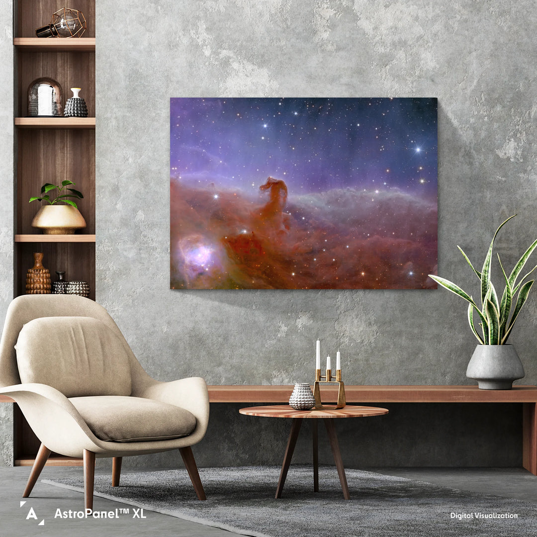 Euclid Telescope: Horsehead Nebula Poster