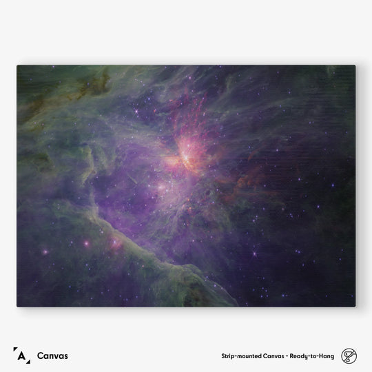 JWST: Orion Nebula (M42) NiRCam View