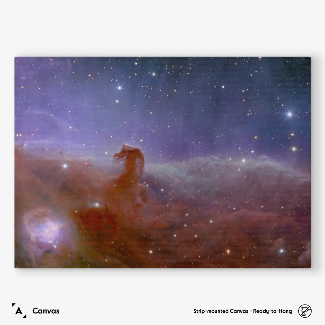 Euclid Telescope: Horsehead Nebula Poster