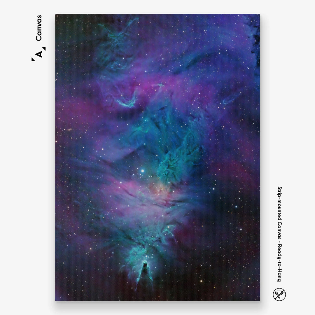 Steve Leonard: Cone Nebula and Christmas Tree Cluster Poster