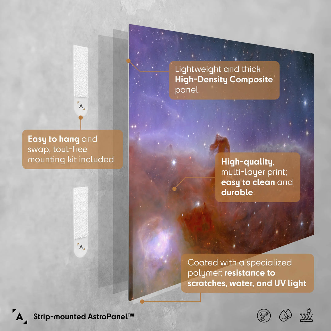 Euclid Telescope: Horsehead Nebula Poster