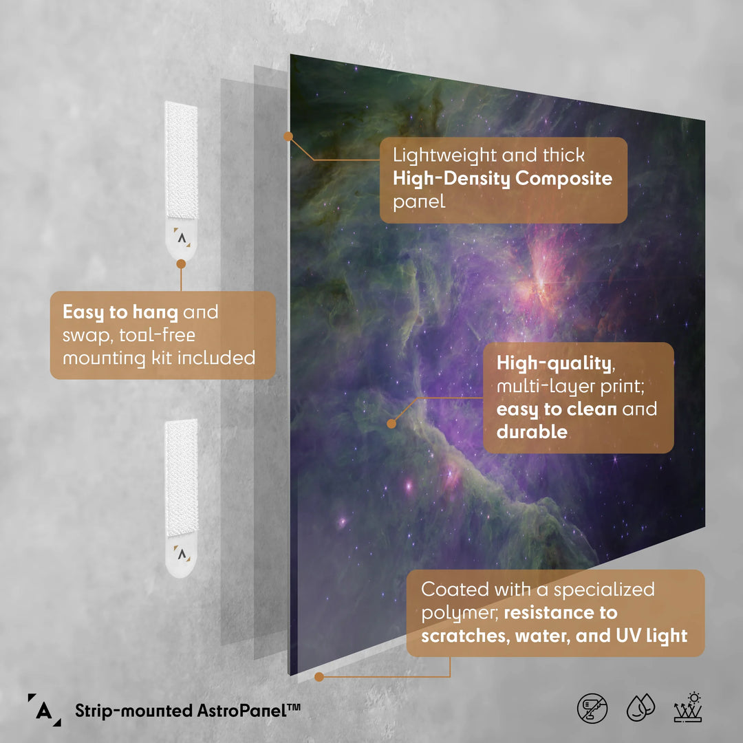 JWST: Orion Nebula (M42) NiRCam View