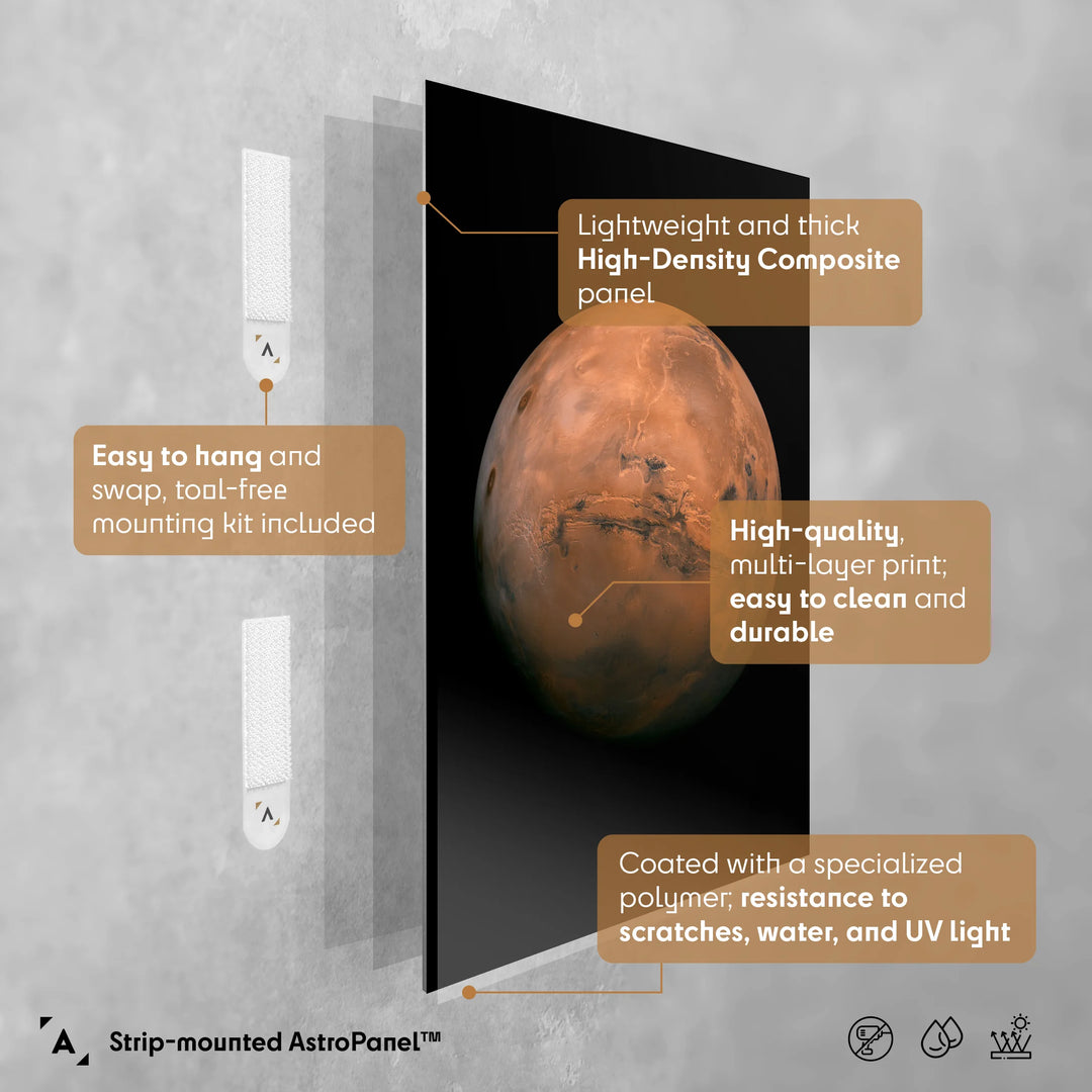 NASA Mars Valles Marineris Poster