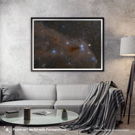 Anteater Nebula
