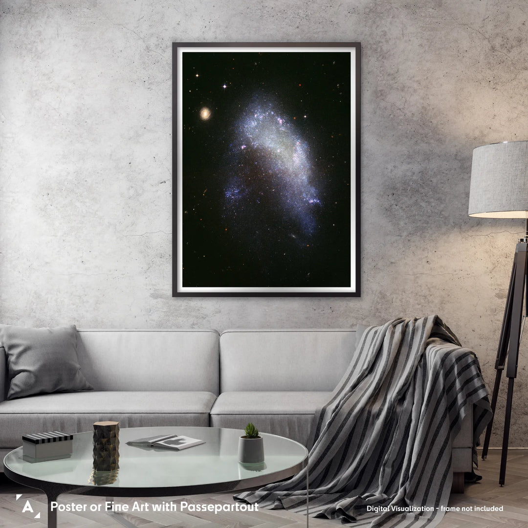 Galaxy NGC1427A