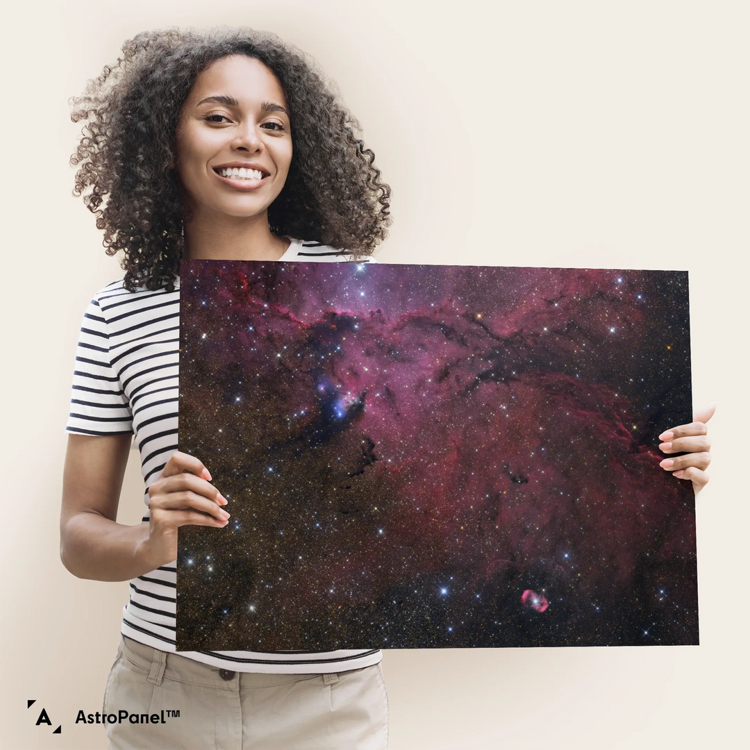 Gerald Rhemann: NGC6164 and NGC6188 Poster