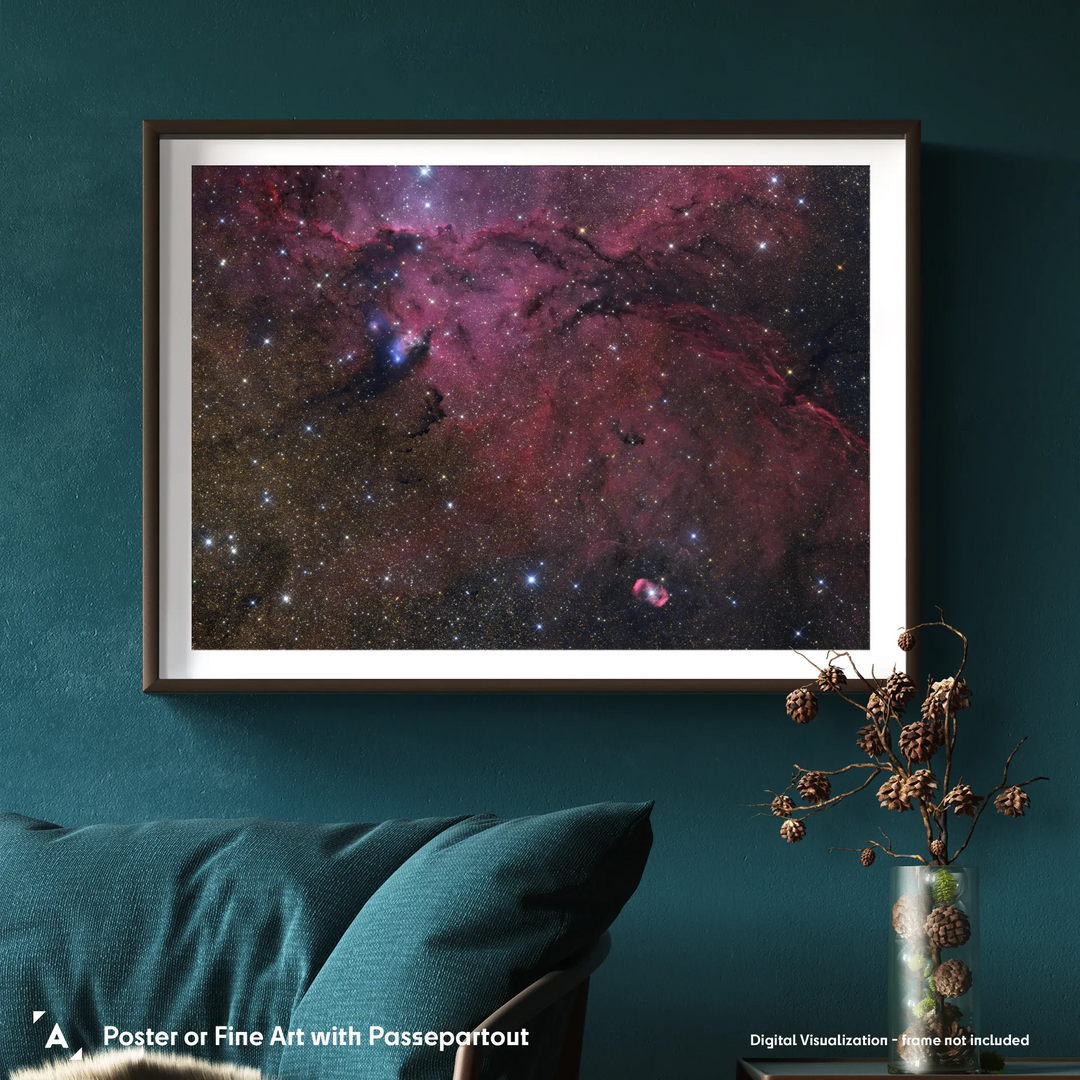 Gerald Rhemann: NGC6164 and NGC6188 Poster