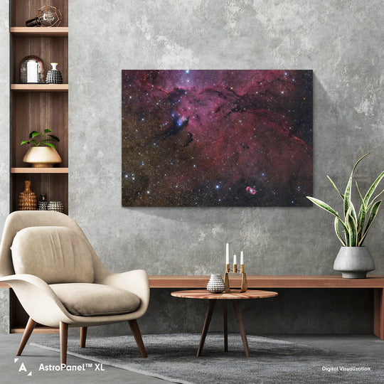 Gerald Rhemann: NGC6164 and NGC6188 Poster