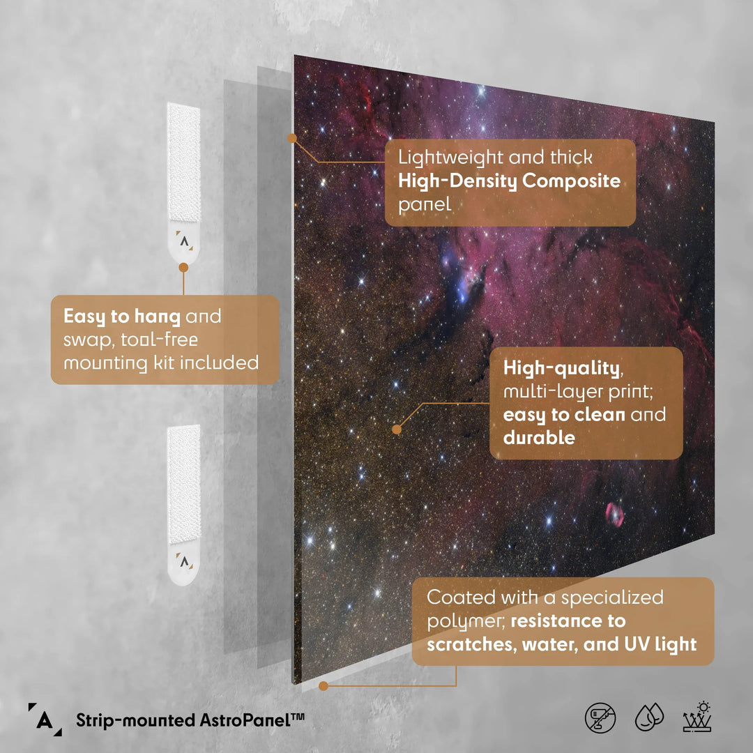 Gerald Rhemann: NGC6164 and NGC6188 Poster