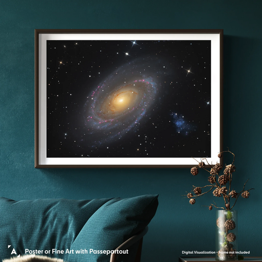 Martin Pugh: M81 Bode's Galaxy in Ursa Major