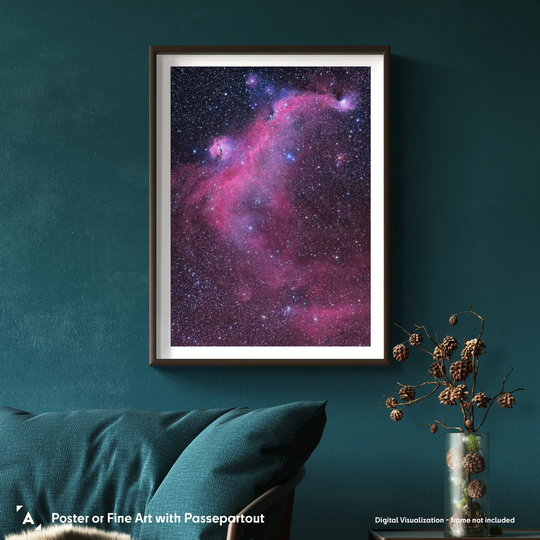 Michael Sidonio - IC2177 The Seagull Nebula