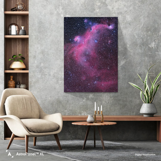 Michael Sidonio - IC2177 The Seagull Nebula