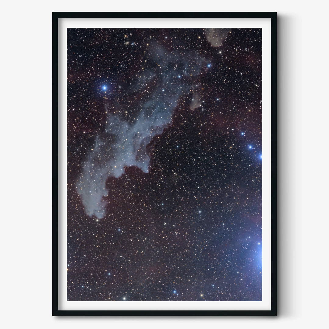 Michael Sidonio - IC2188 The Witchhead Nebula