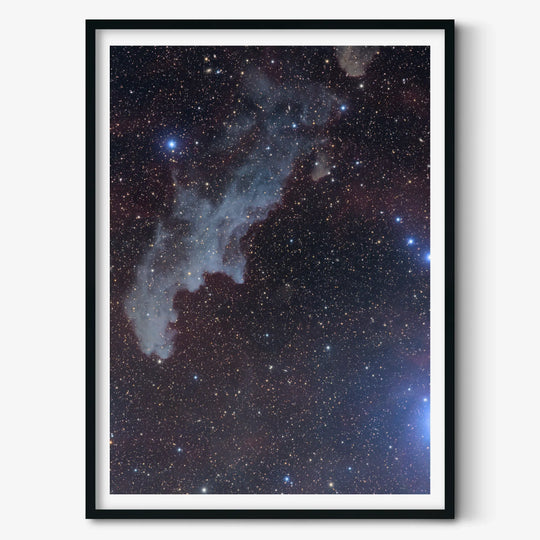 Michael Sidonio: The Witch Head Nebula (IC2188) Poster