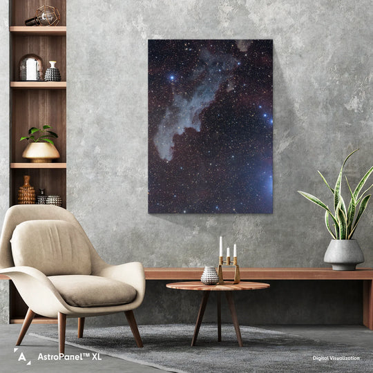 Michael Sidonio: The Witch Head Nebula (IC2188) Poster