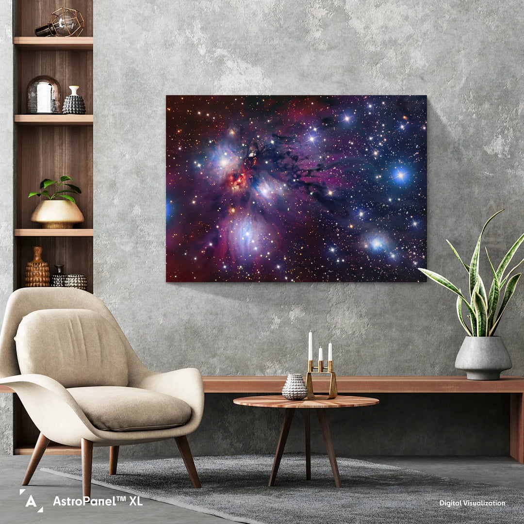 Robert Gendler: Stellar Nursery in Monoceros - NGC 2170